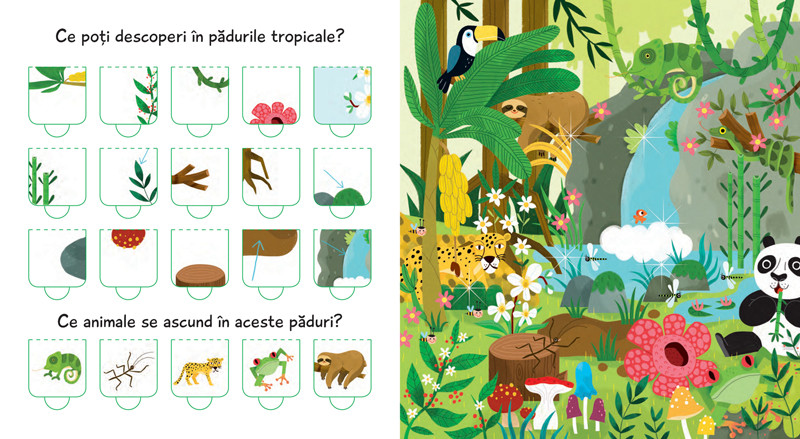 Natura. Cartea cu 100 de clapete